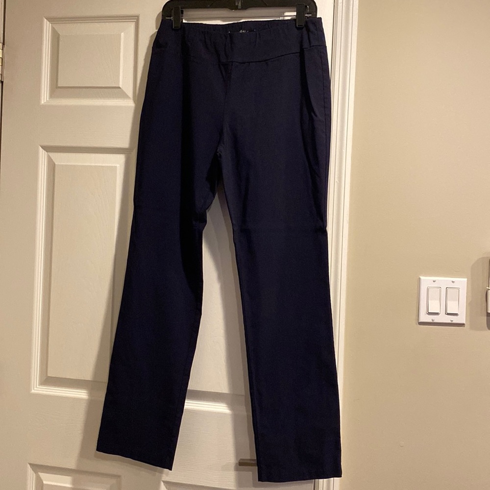 Insight Navy Pants